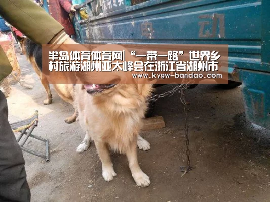 半岛体育体育网|“一带一路”世界乡村旅游湖州亚太峰会在浙江省湖州市吴兴区原乡小镇景区举办(图1) 半岛体育下载