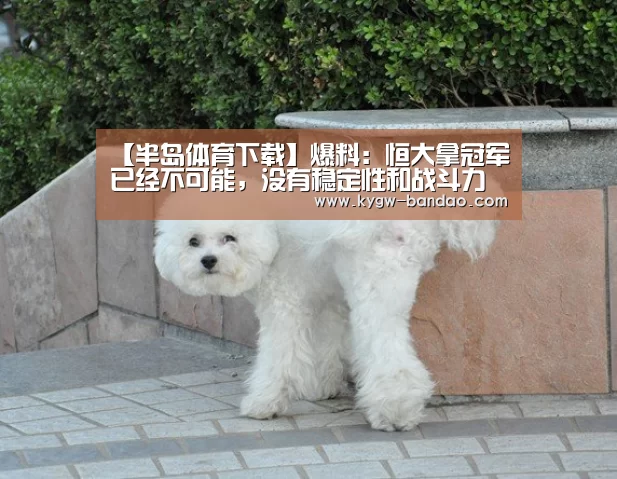 半岛体育线上观看