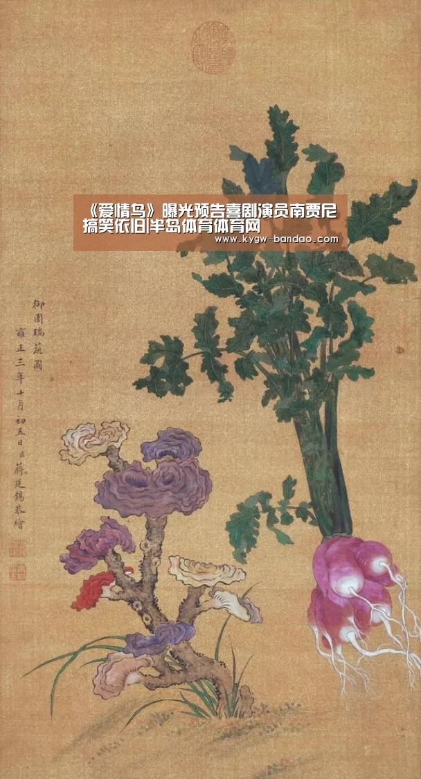 半岛体育体育网