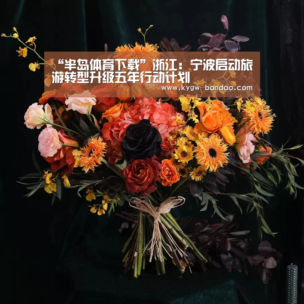 半岛体育体育网