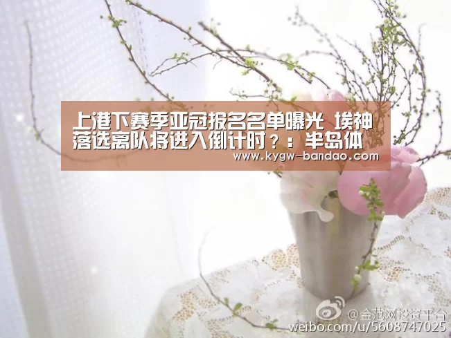 半岛体育线上观看