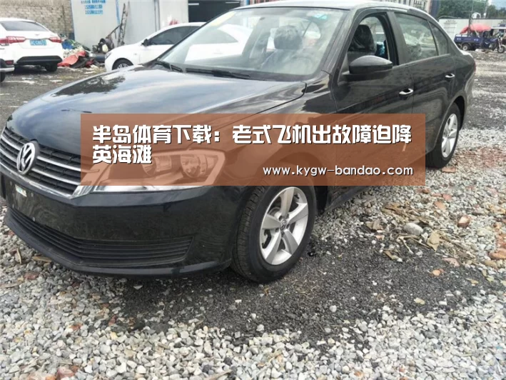 半岛体育线上观看