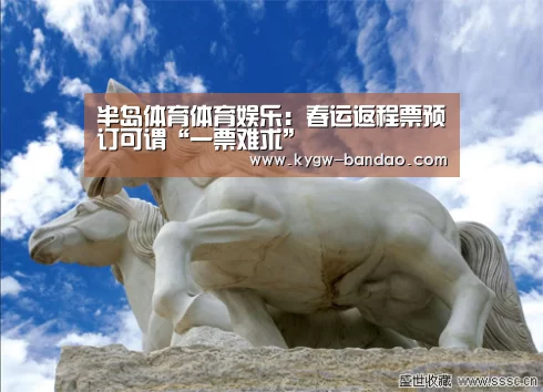半岛体育体育娱乐:春运返程票预订可谓“一票难求”(图1) 半岛体育下载