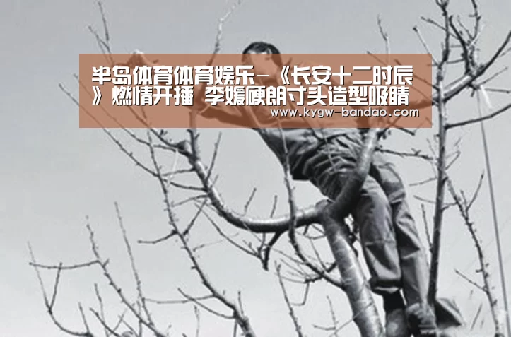 半岛体育体育娱乐-《长安十二时辰》燃情开播 李媛硬朗寸头造型吸睛MAX(图1) 半岛体育体育娱乐