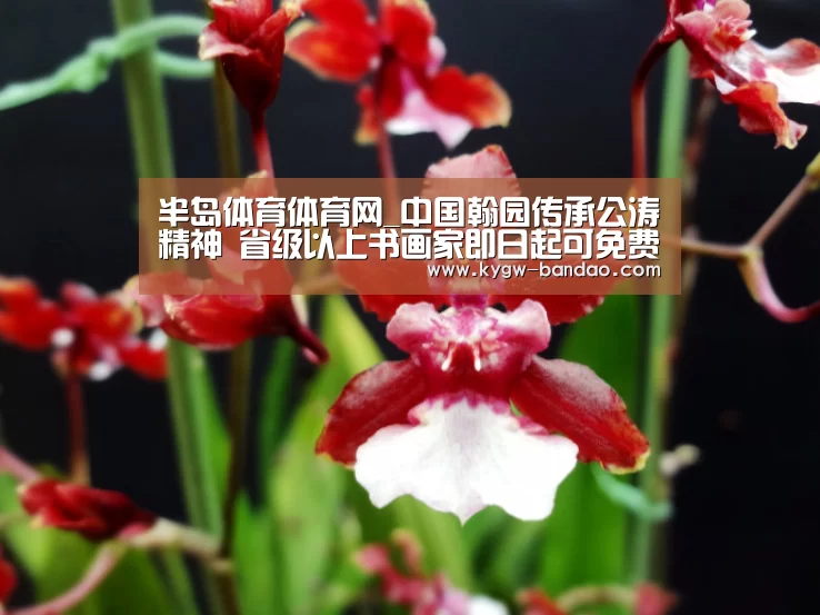 半岛体育体育网_中国翰园传承公涛精神 省级以上书画家即日起可免费游园(图1) 半岛体育体育网