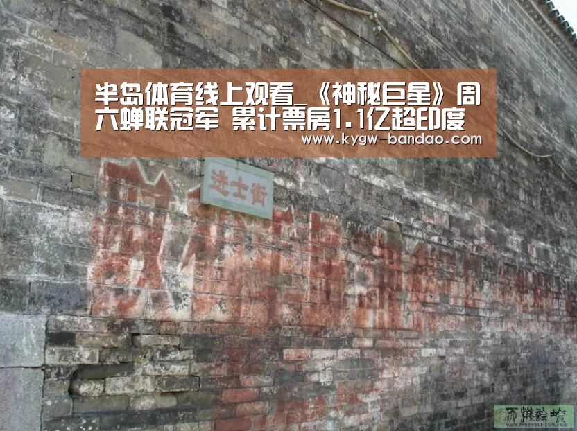 半岛体育线上观看_《神秘巨星》周六蝉联冠军 累计票房1.1亿超印度本土(图1) 半岛体育体育娱乐