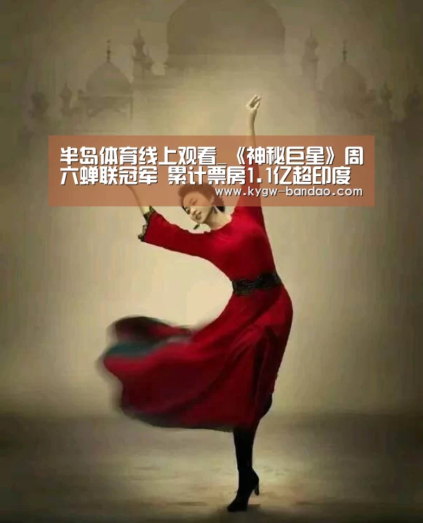 半岛体育线上观看_《神秘巨星》周六蝉联冠军 累计票房1.1亿超印度本土(图3) 半岛体育下载