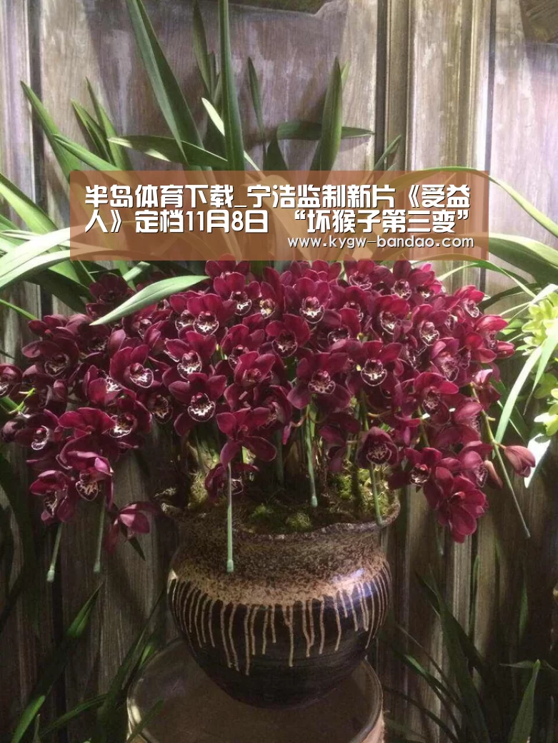半岛体育体育娱乐