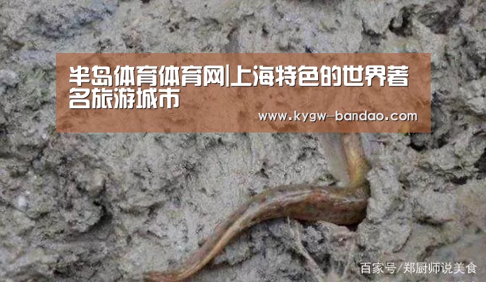 半岛体育体育娱乐