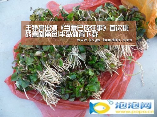 半岛体育体育娱乐