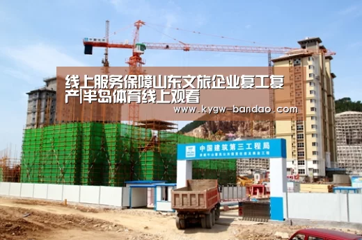 线上服务保障山东文旅企业复工复产|半岛体育线上观看(图1) 半岛体育体育网