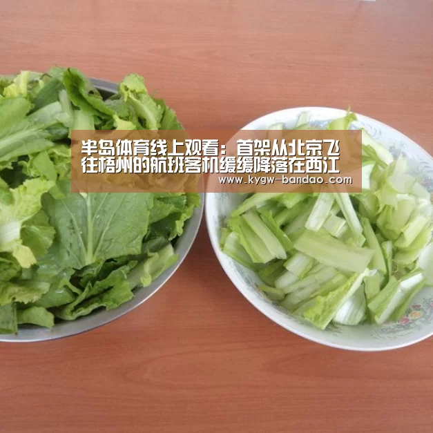 半岛体育线上观看:首架从北京飞往梧州的航班客机缓缓降落在西江机场(图1) 半岛体育线上观看