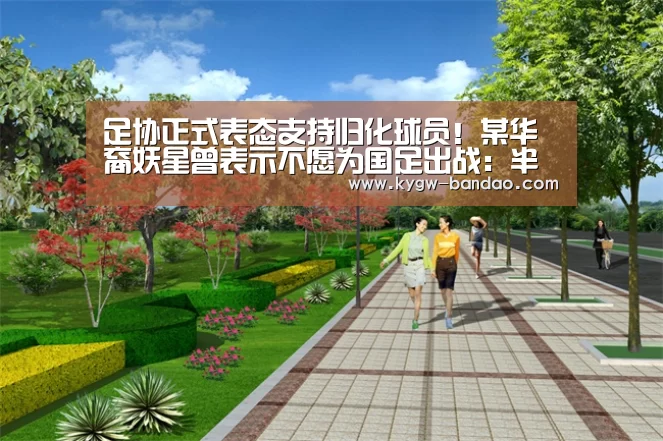 足协正式表态支持归化球员!某华裔妖星曾表示不愿为国足出战:半岛体育体育网(图3) 半岛体育体育娱乐