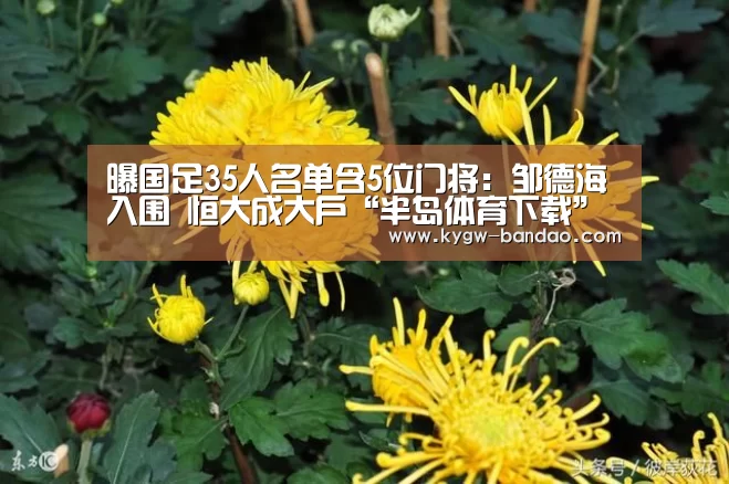 曝国足35人名单含5位门将:邹德海入围 恒大成大户“半岛体育下载”(图4) 半岛体育体育娱乐