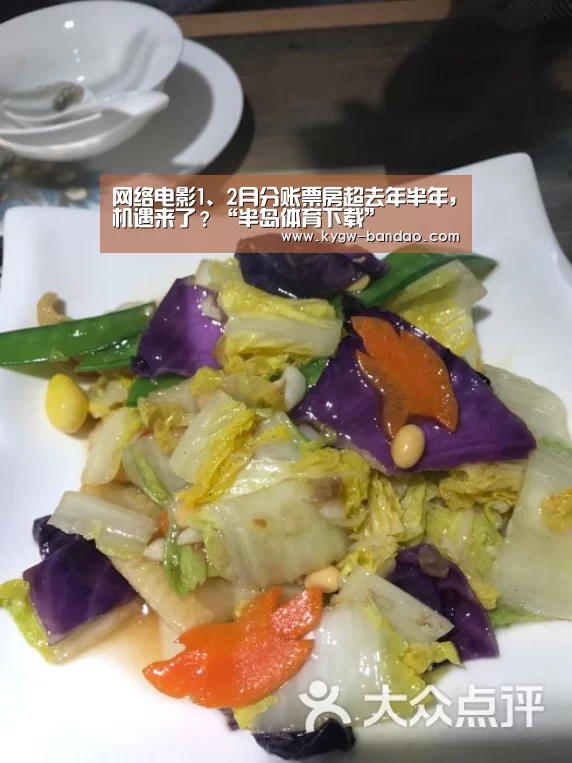 网络电影1、2月分账票房超去年半年,机遇来了?“半岛体育下载”(图1) 半岛体育线上观看
